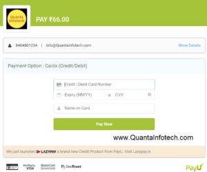 payu payment card page